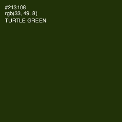#213108 - Turtle Green Color Image